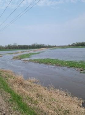 Heavy flooding and ponding in central MN meadows and fields. 